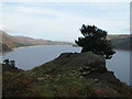 NY4712 : Haweswater from Flakehowe Crag by Dave Dunford
