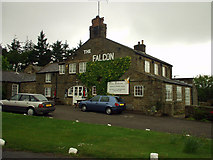 SE9798 : The Falcon Inn by Phil Champion