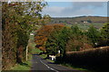 The Lismenary Road, Ballynure