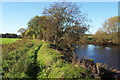 Footpath beside the River Ure