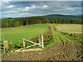 NT6009 : Grass track northeast of Wolfelee Hill by Iain Macaulay