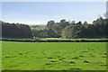 Farmland at Groby Park Farm