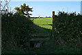 Footpath to Groby