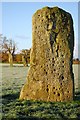 NR8396 : Decorated standing stone at Ballymeanoch by Patrick Mackie