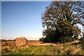 East Fen, Isleham