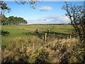 Fields near Cocklaw Walls