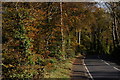 The Ballyrobert Road near Bangor