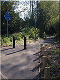 SX9390 : Newly-surfaced path, Riverside Valley Park, Exeter by Derek Harper