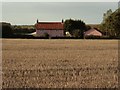 House across a field, close to Lavenham, Suffolk