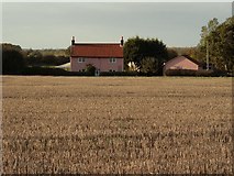 TL9047 : House across a field, close to Lavenham, Suffolk by Robert Edwards