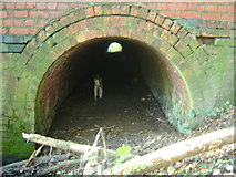 SK3113 : Donisthorpe - culvert under disused railway (Rigsby inside!) by cris sloan