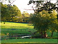 Fields South of Rowledge