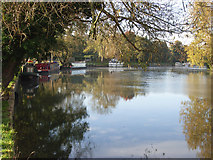 SU7575 : The River Thames, Sonning by Andrew Smith