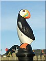 NZ3187 : Puffin by Christine Westerback