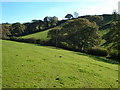 Valley east of Modbury