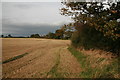 Cheshire Fields near Hargrave in Autumn