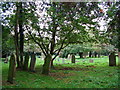 St Nicholas Church Cemetery. Bradwell