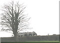 Barns at Fferm Cae Gwyn, Bethel Road