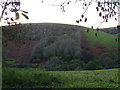 Hillside opposite Were Down