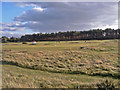 Across the Nairn Golf Course