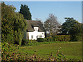 Thatched cottage