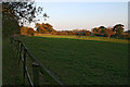 Pasture at the Harcourt Stud