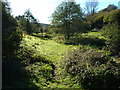 Meadow beside Ayleston Brook