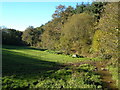 Field beside Wastor Wood