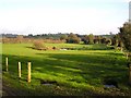 Bloomhill Townland