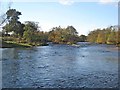 Rapids on the River Ure