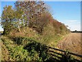 Old railway embankment, West Tanfield