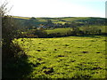 View near Combe Cross