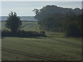 SU2958 : Farmland, Tidcombe by Andrew Smith