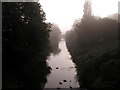 Early Morning Mist on Burstwick Drain