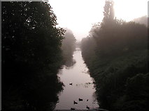 TA1828 : Early Morning Mist on Burstwick Drain by Andy Beecroft