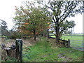 Bridleway, Moke Hill