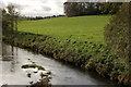The River Bann near Ballyroney (2)