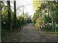 The Driveway To Gadwal Farm