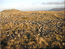 SO2014 : Patterned ground with Neolithic  cairn in background by Duncan Hawley