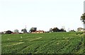 Farmland near Bradwell Hall, Tillingham