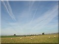 NY6325 : Vapour trails over pasture, Kirkby Thore by Humphrey Bolton