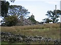 Ruined Cottage at Carmel