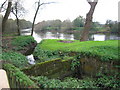 Defunct Droitwich Canal at its junction with the River Severn