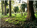 Graveyard at Hardmead Church