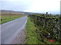 NH2613 : Drystone Wall by the Roadside by Dave Fergusson