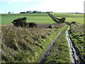 The muddy road to Pitlochie