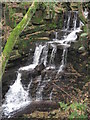 Waterfall above Stubbins at Buckden Wood