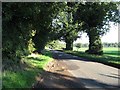 The Road From Scoulton Mere