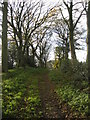 Track to Bull Close Farm