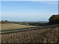 Stubble above Marlborough